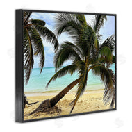 Kali Wilson | Leaning Palms on Beach