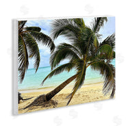 Kali Wilson | Leaning Palms on Beach