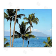 Kali Wilson | Palm Trees and Sailboat