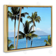 Kali Wilson | Palm Trees and Sailboat