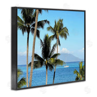Kali Wilson | Palm Trees and Sailboat