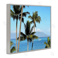 Kali Wilson | Palm Trees and Sailboat