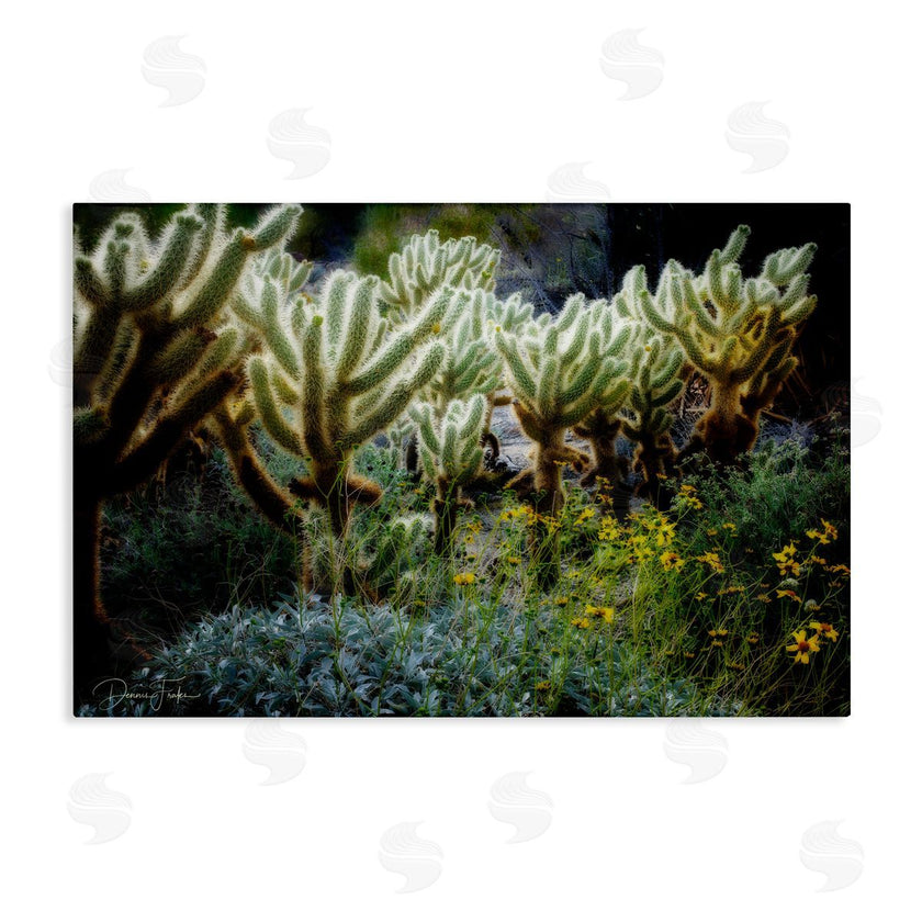 Dennis Frates | Desert Cactus Forest