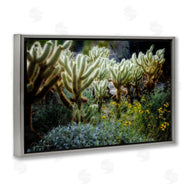 Dennis Frates | Desert Cactus Forest
