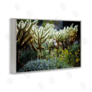 Dennis Frates | Desert Cactus Forest