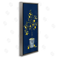 Anne Tavoletti | Citron Lemon Plant