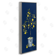 Anne Tavoletti | Citron Lemon Plant