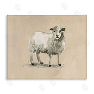 June Erica Vess | Gazing Sheep on Beige