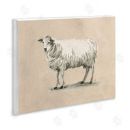 June Erica Vess | Traditional Minimal Sheep
