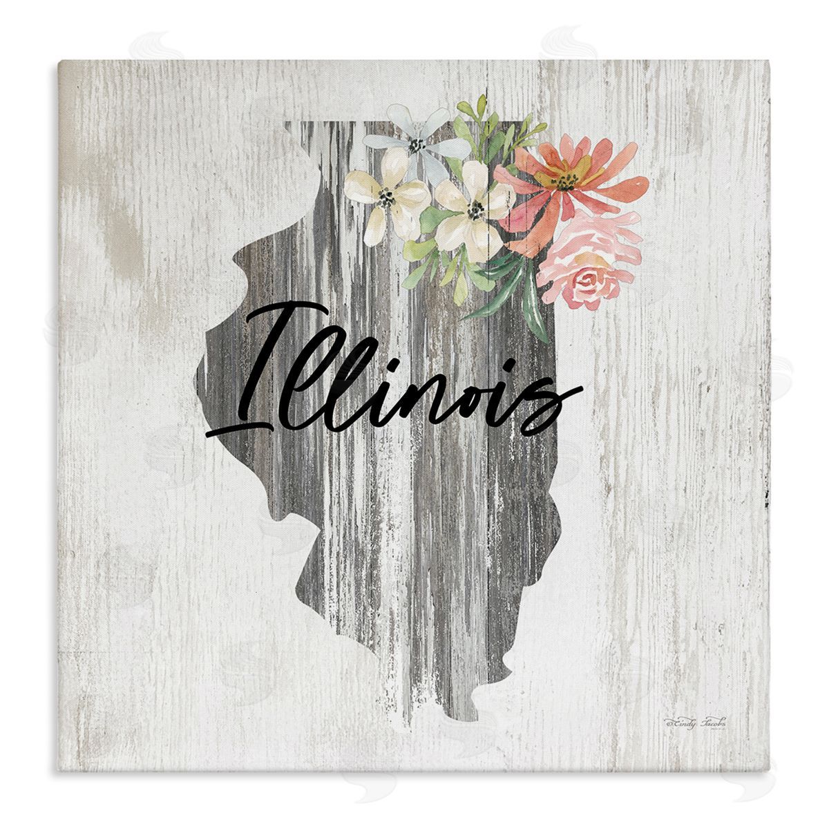 Shabby Chic Illinois Canvas Wall Art, Home Decor by Cindy Jacobs