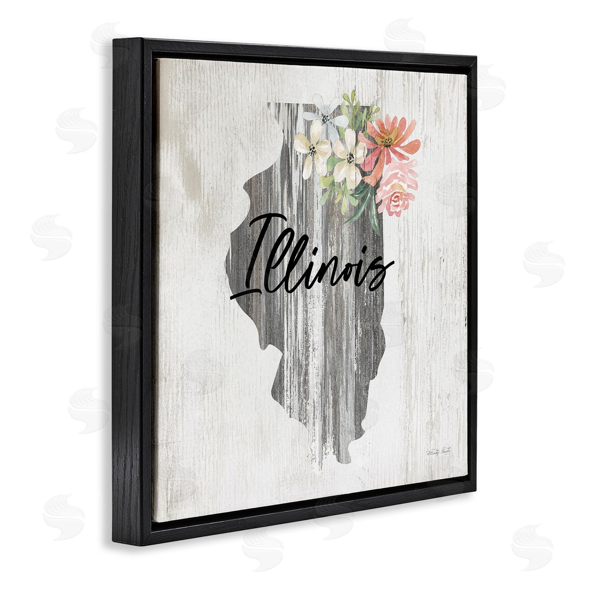 Shabby Chic Illinois Black Floating Frame Canvas Wall Art, Home Decor by Cindy Jacobs