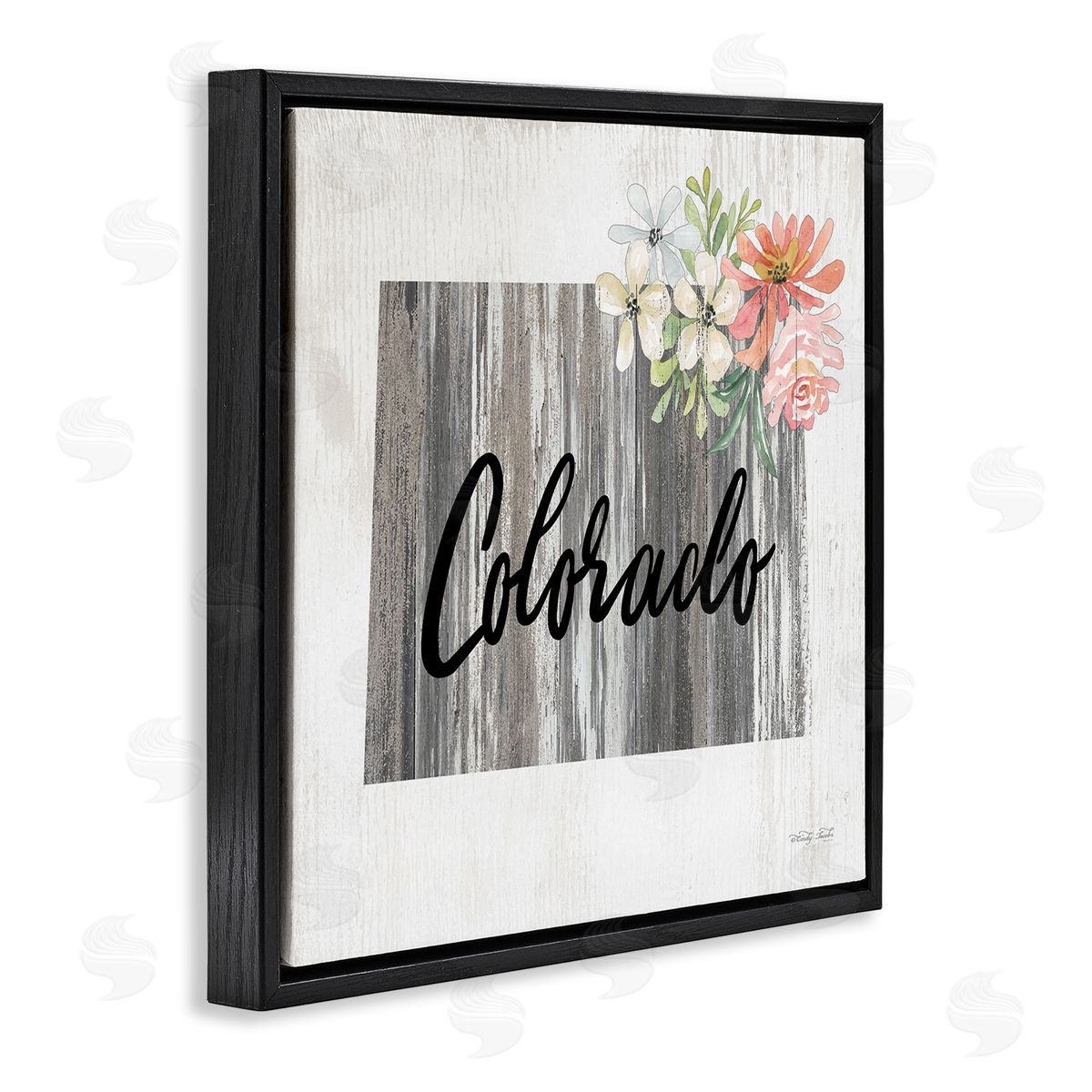 Shabby Chic Colorado Black Floating Frame Canvas Wall Art, Home Decor by Cindy Jacobs