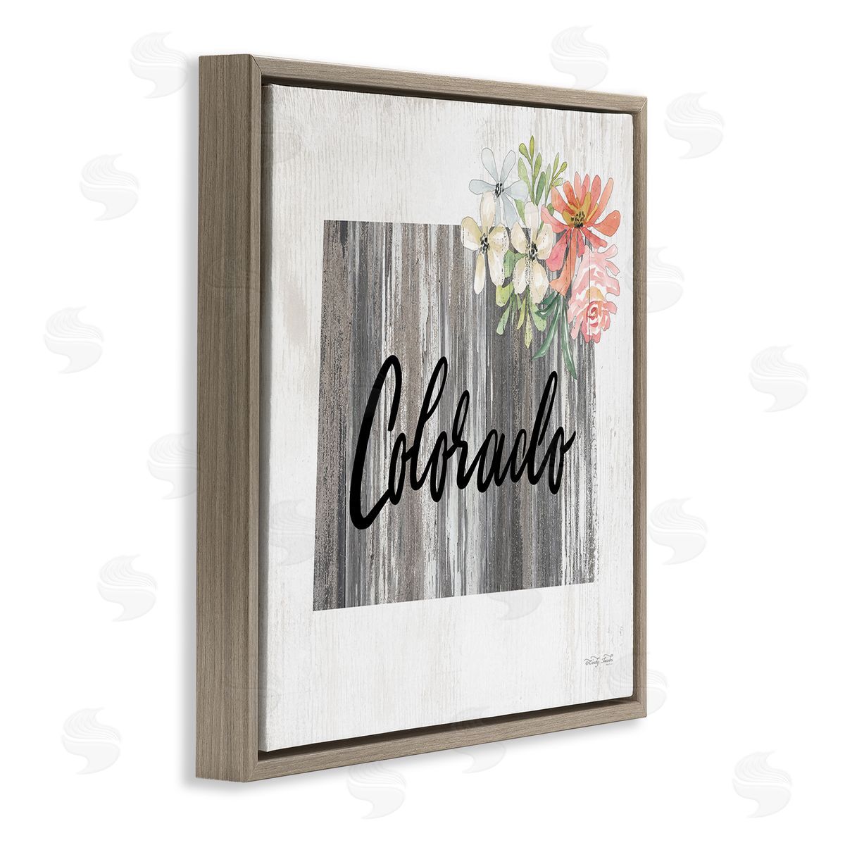 Shabby Chic Colorado Brown Floating Frame Canvas Wall Art, Home Decor by Cindy Jacobs