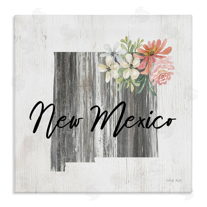 Cindy Jacobs | Shabby Chic New Mexico