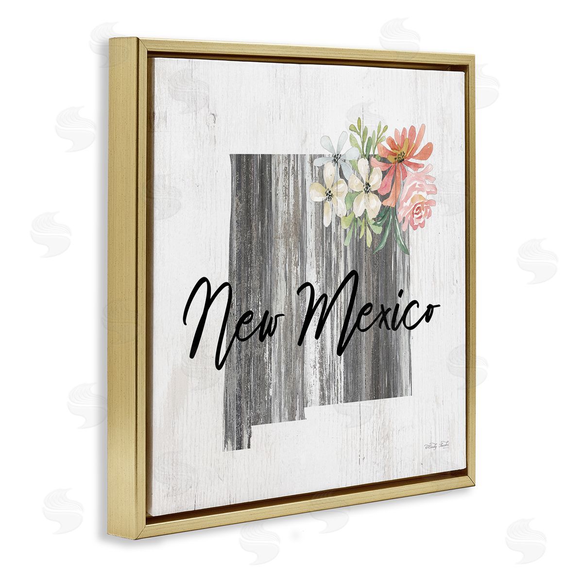 Shabby Chic New Mexico Gold Floating Frame Canvas Wall Art, Home Decor by Cindy Jacobs