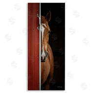 Dakota Diener | Brown Stallion Peeking
