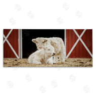 Dakota Diener | White Cattle Barn