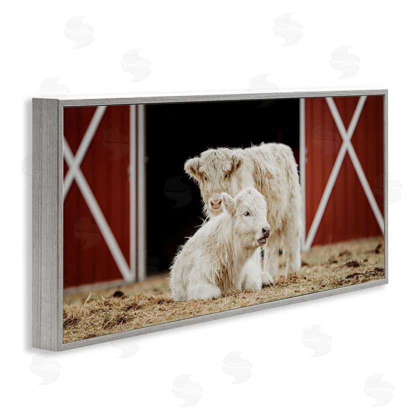 Dakota Diener | White Cattle Barn