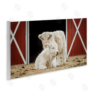 Dakota Diener | White Cattle Barn