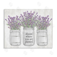 Lettered and Lined | Where You're Planted