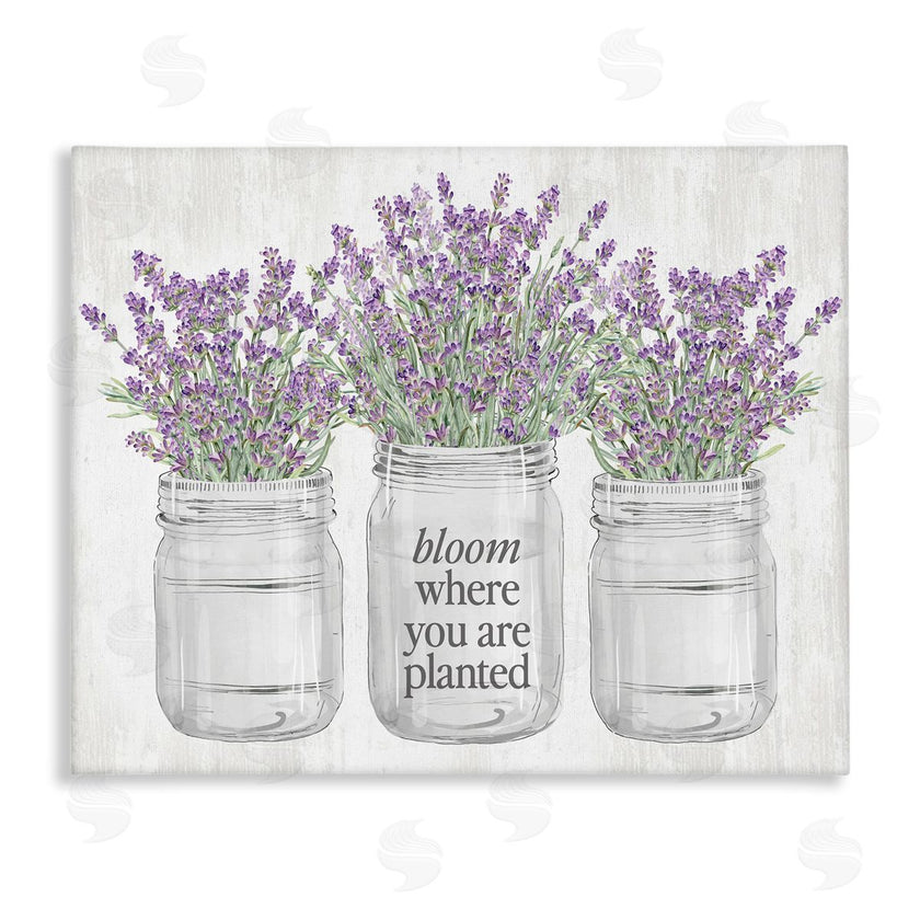 Lettered and Lined | Where You're Planted