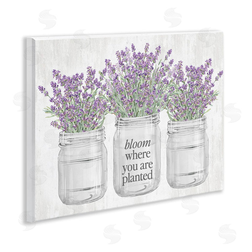 Lettered and Lined | Where You're Planted