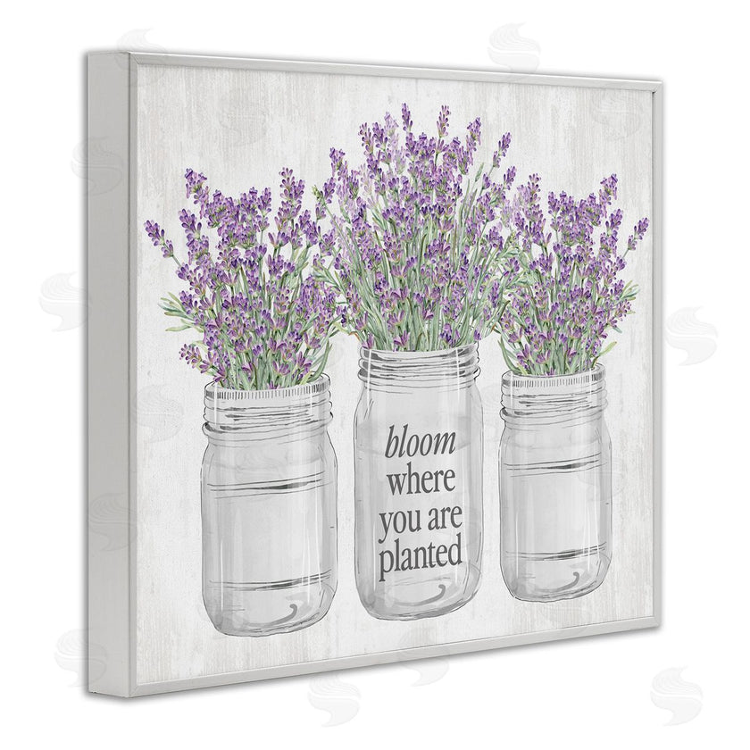 Lettered and Lined | Where You're Planted