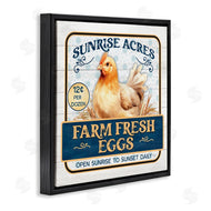 Mollie B. | Farm Fresh Eggs