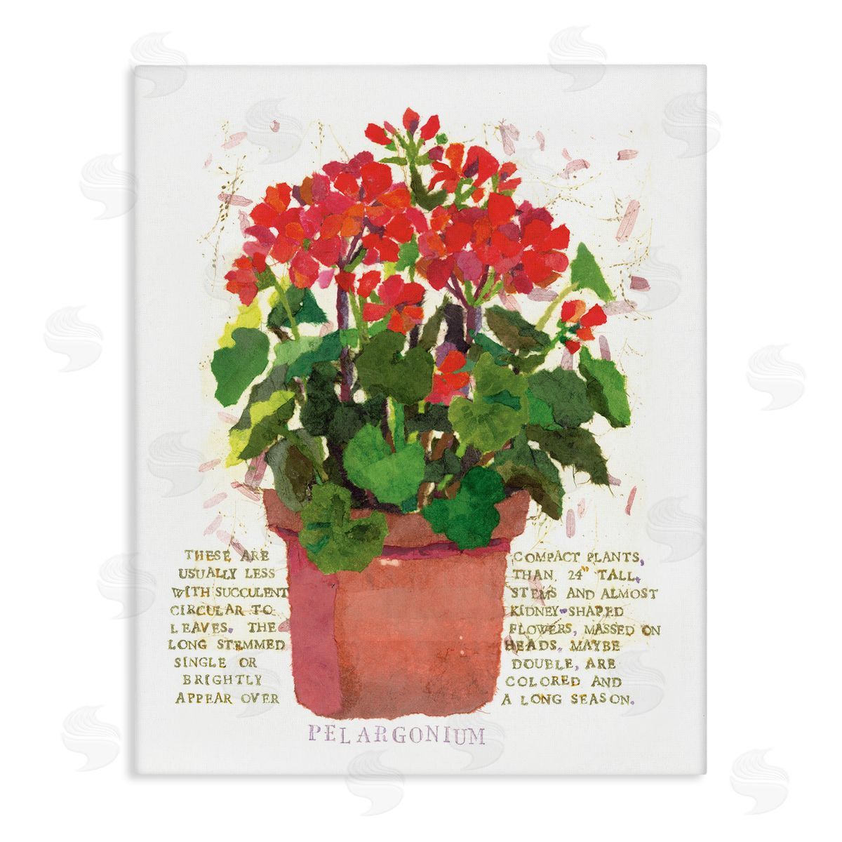 Red Potted Geranium Canvas Wall Art, Home Decor by Nancy Overton
