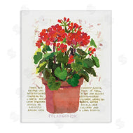 Nancy Overton | Red Potted Geranium