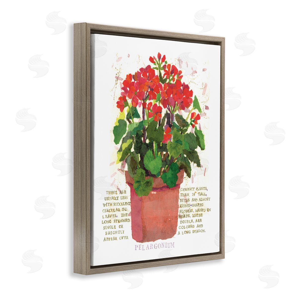 Red Potted Geranium Brown Floating Frame Canvas Wall Art, Home Decor by Nancy Overton
