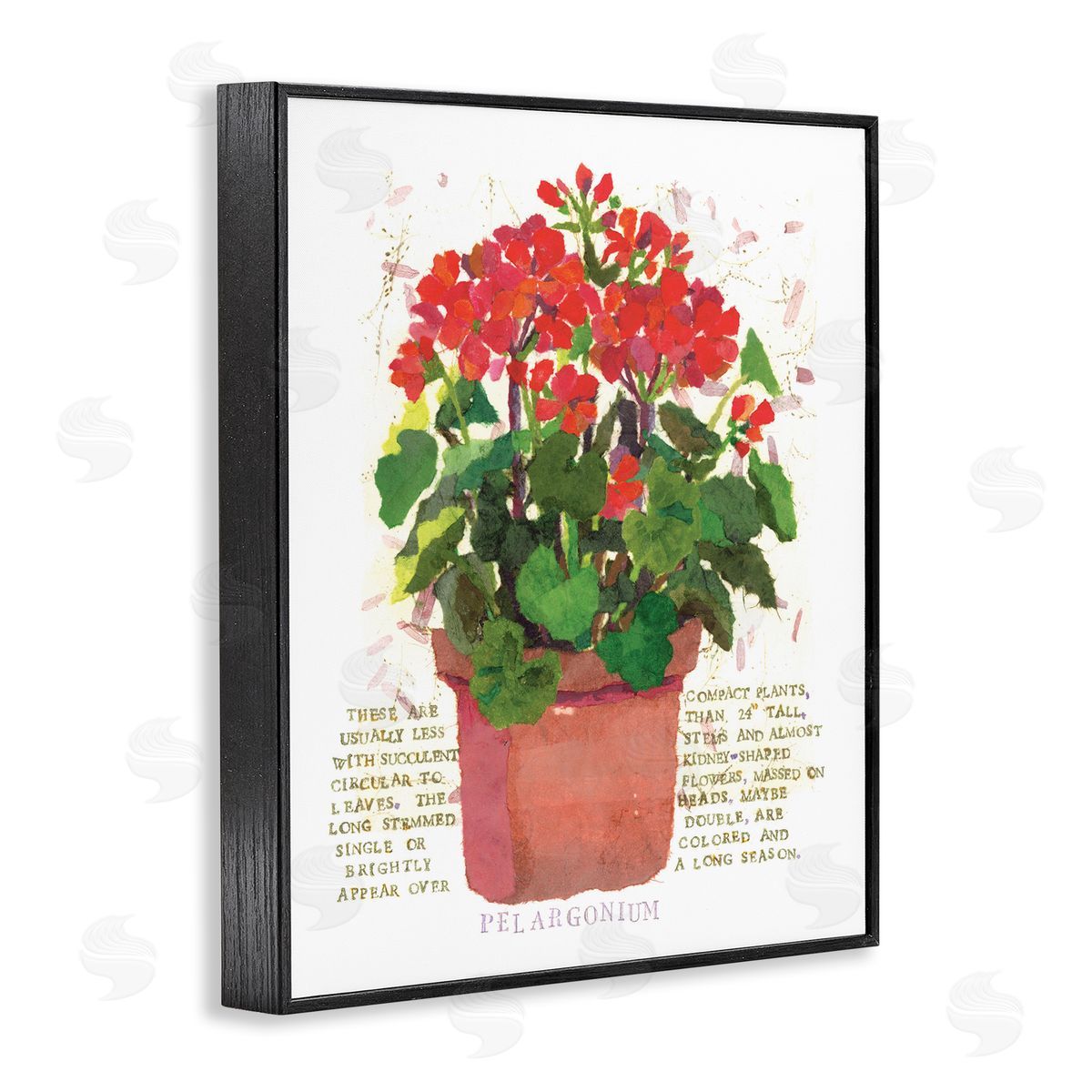 Red Potted Geranium Black Frame Print Wall Art, Home Decor by Nancy Overton