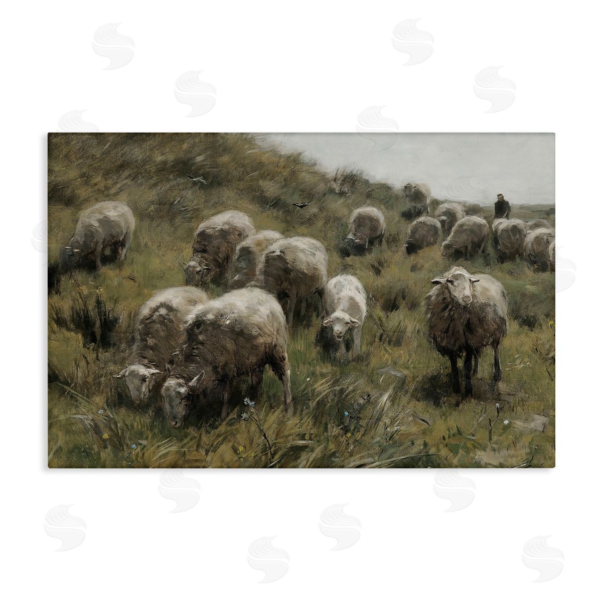 Sheep At Pasture Canvas Wall Art, Home Decor by RileyB