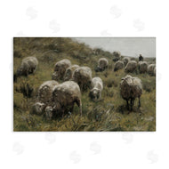 RileyB | Sheep At Pasture