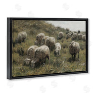 RileyB | Sheep At Pasture