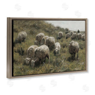 RileyB | Sheep At Pasture