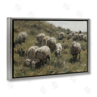 RileyB | Sheep At Pasture