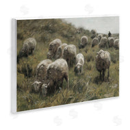 RileyB | Sheep At Pasture
