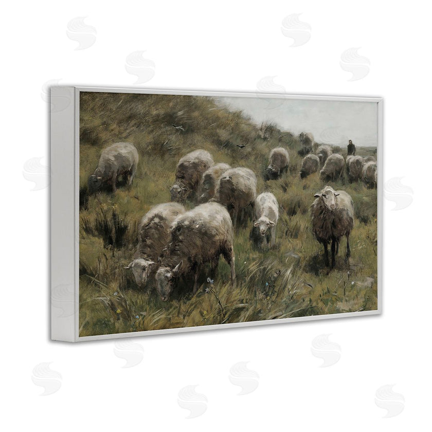 RileyB | Sheep At Pasture