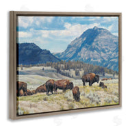 David Graham | Sunny Afternoon Bison