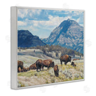 David Graham | Sunny Afternoon Bison