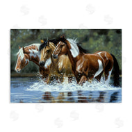 Victoria Schultz | Heading Upstream Horses