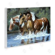 Victoria Schultz | Heading Upstream Horses
