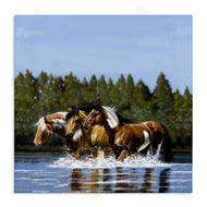 Victoria Schultz | Horses Upstream Splashing