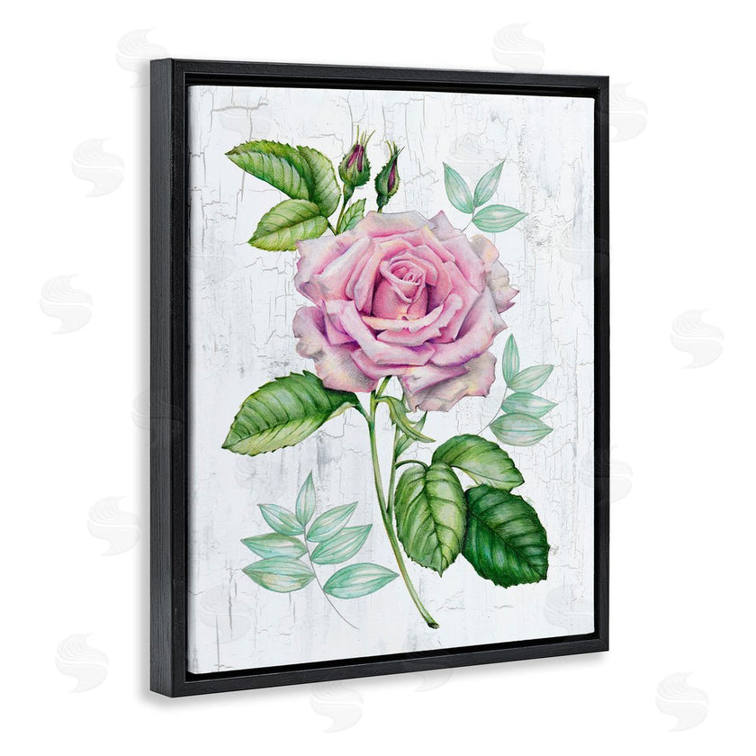 Levison Design | English Manor Rose