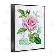Levison Design | English Manor Rose