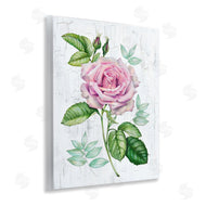 Levison Design | English Manor Rose