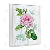 Levison Design | English Manor Rose