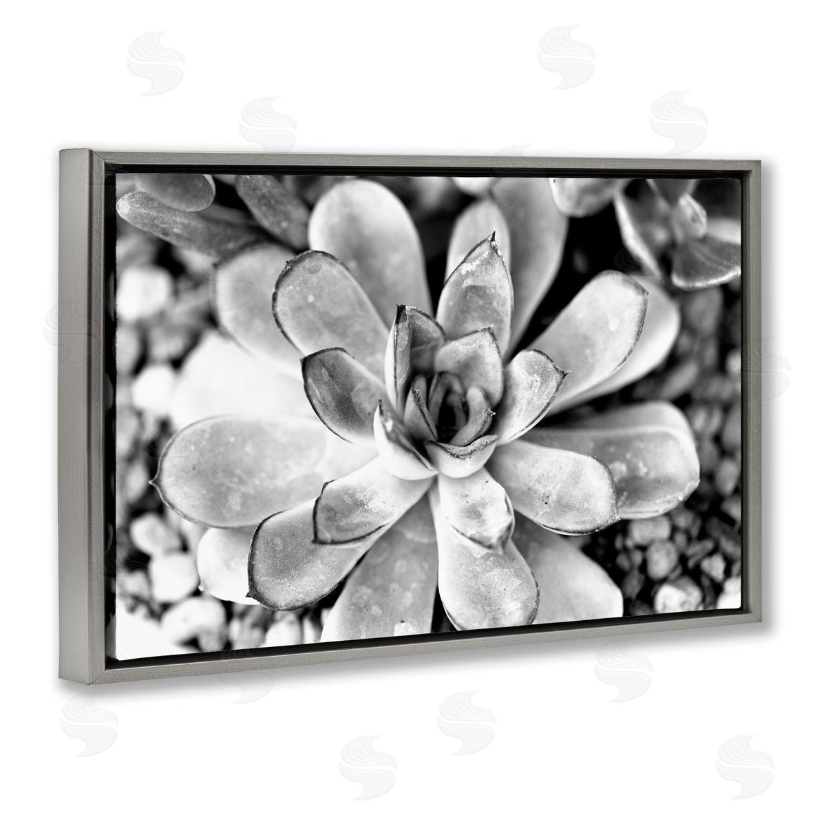 Monochrome Succulent Leaves Grey Floating Frame Canvas Wall Art, Home Decor by Susan Bryant