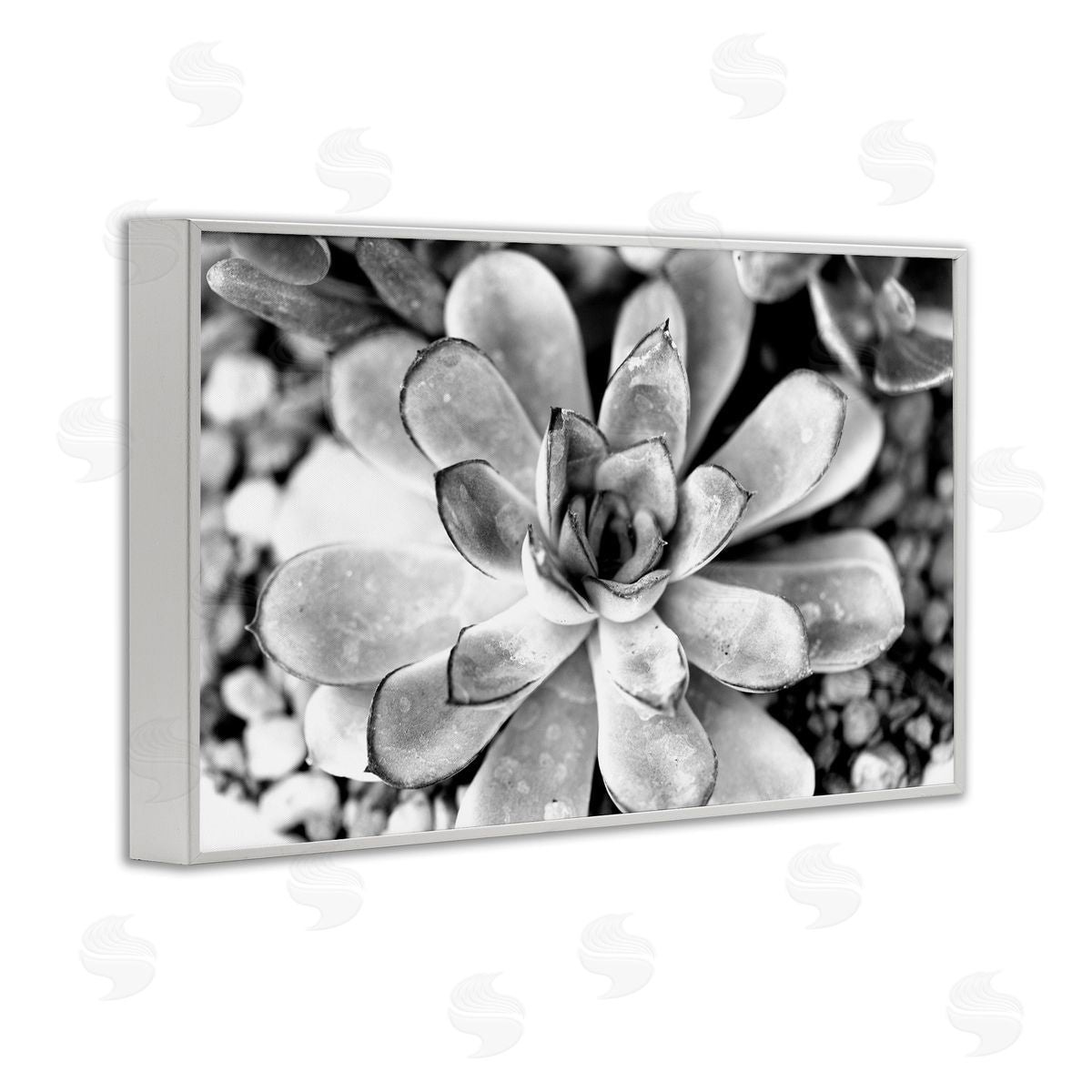 Monochrome Succulent Leaves White Frame Print Wall Art, Home Decor by Susan Bryant